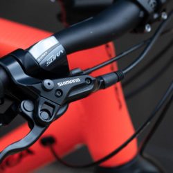 vector orbea
